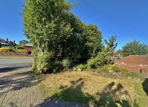 Photo 40- click for photo gallery